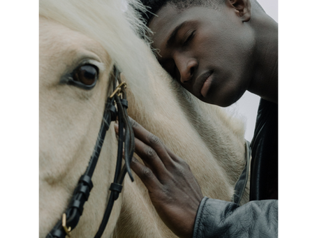 Facing PTSD with Equine Therapy