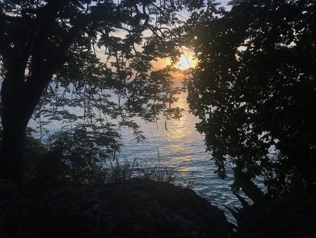 Sometimes A simple Stroll Makes a Big Difference