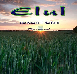ELUL.jpg