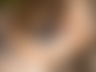 Sitting dog, looking at its owner.