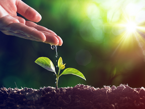 Inscrições abertas para o Selo Ambiental