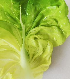 Bildschirmfoto 2023-06-29 um 09.28.45.png