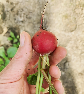 Bildschirmfoto 2023-06-29 um 09.28.24.png