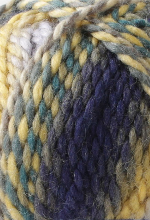 Miniature : PINGO Colors - Forêt 