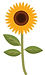 sunflower.jpg