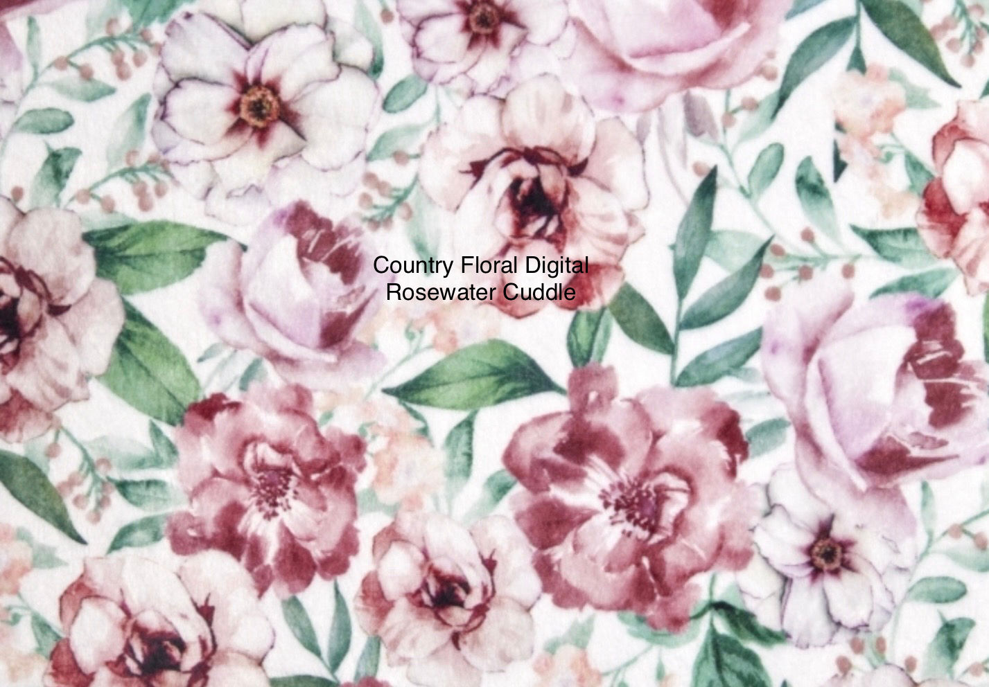 Country Floral Rosewater Digital Cuddle