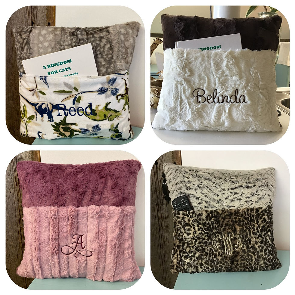 Personalized Minky Pocket Pillow