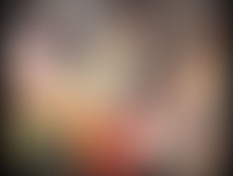 The Antique book shop