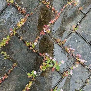 4 Outfits for Your Spring Wardrobe