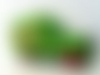 SUMOL, A STARTUP DE ALGÉS