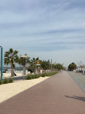 Palm-lined promenade at Kite Beach in Dubai