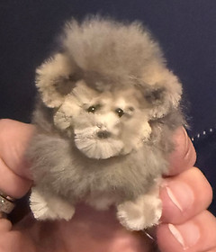 The pipe cleaner Lion that wasn't quite right