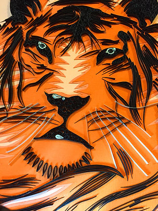 tiger close up