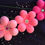 Thumbnail: Puffy balloon flowers