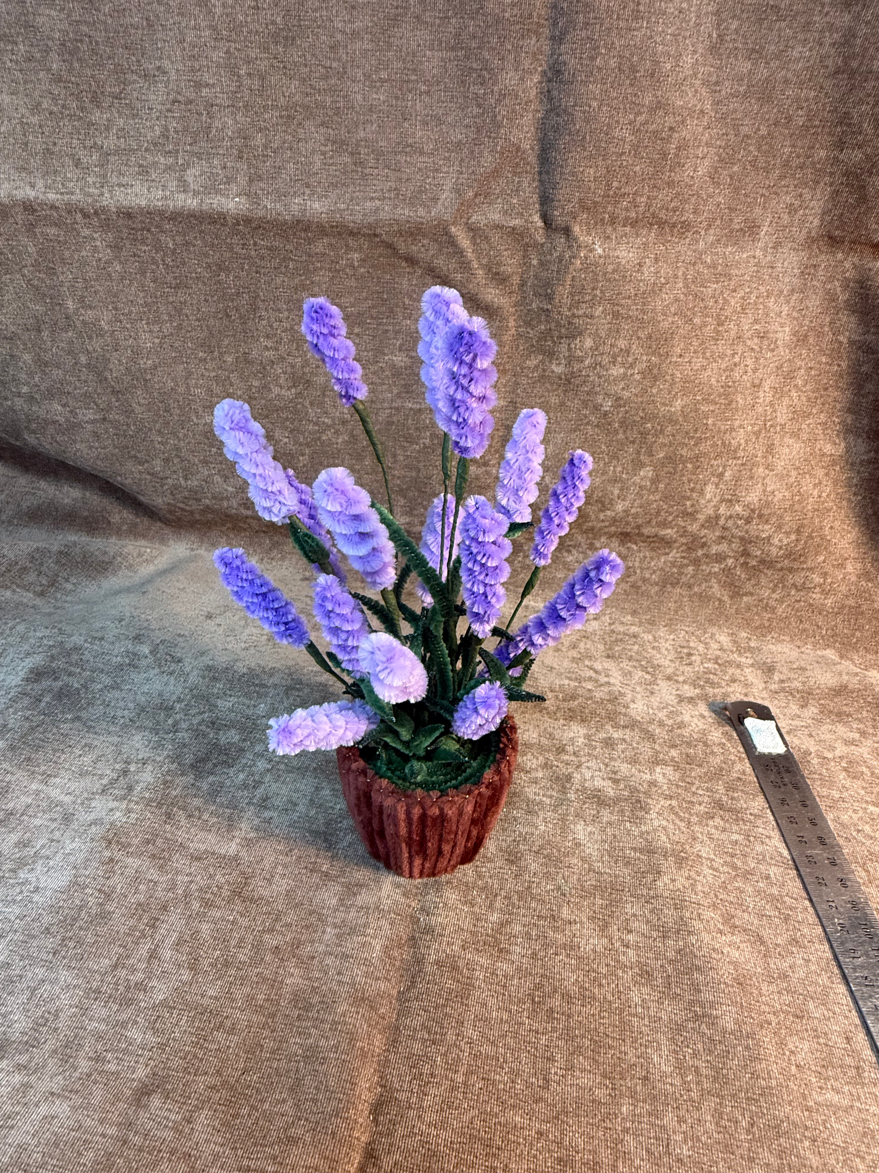 Lavender pot - forever flowers 