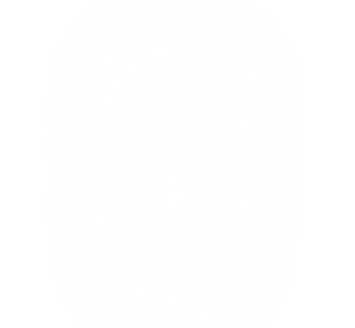 white fade.png
