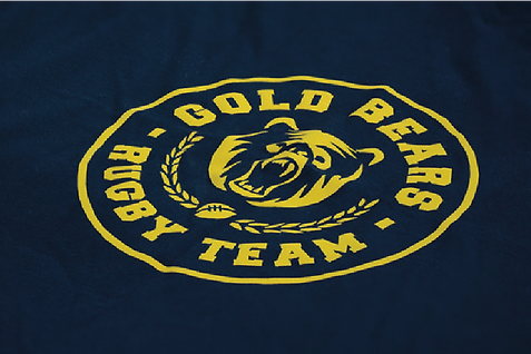 tshirt800x533.png