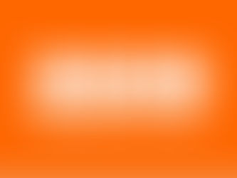 2020 Provider of the Year