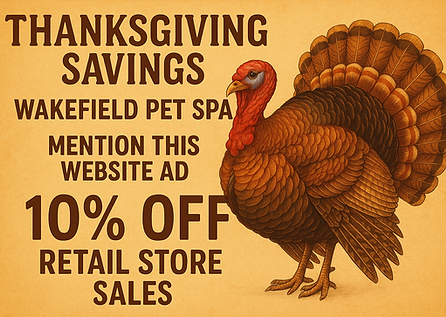 ChatGPT Image Nov 18, 2025, 05_14_58 PM.png