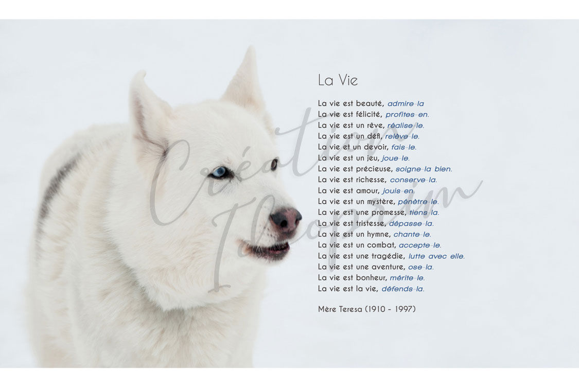 Toile prière Père Teresa La vie