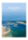 Affiche le bassin d'Arcachon