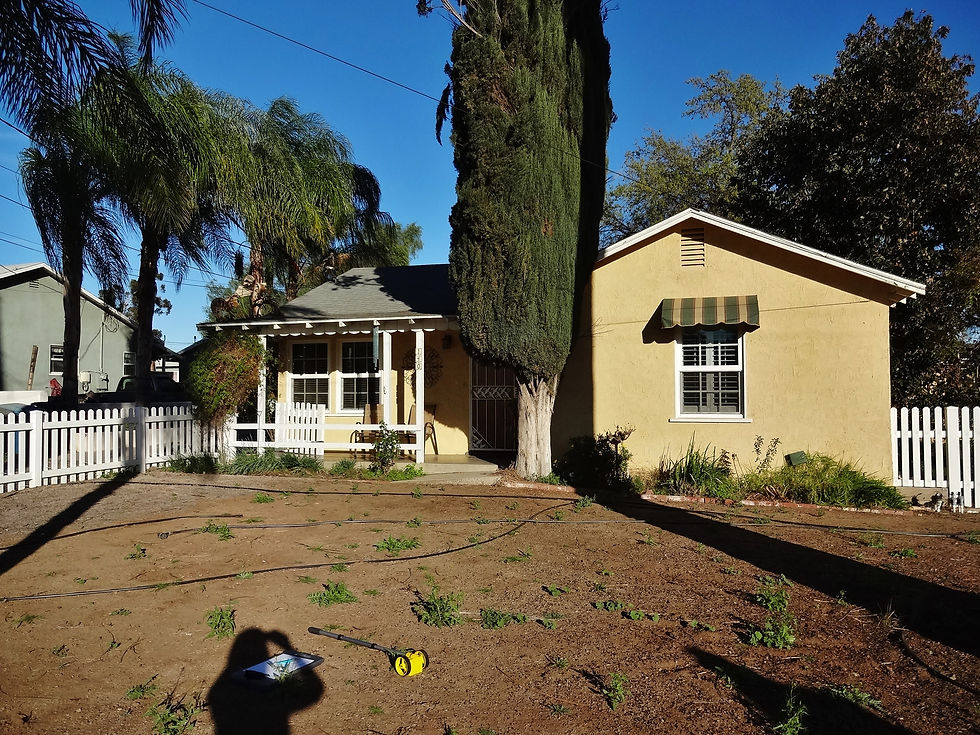 Lucerne Street front yard