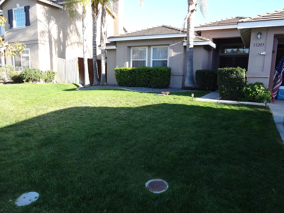 Photo taken of yard at Corte Yaca