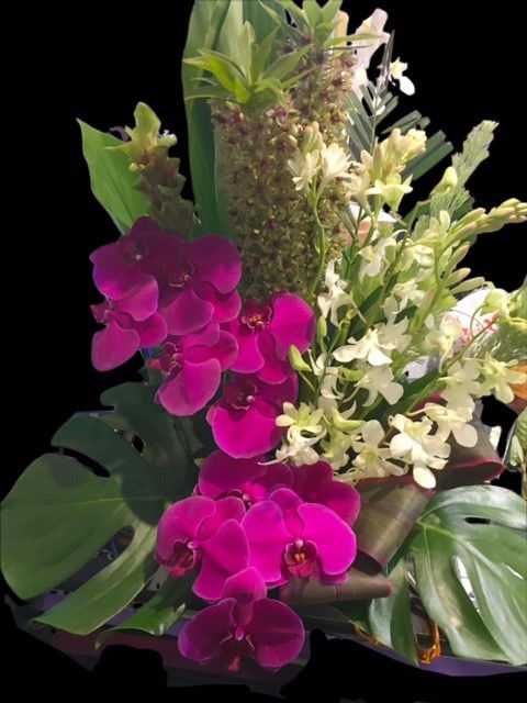 Corporate Reception Display