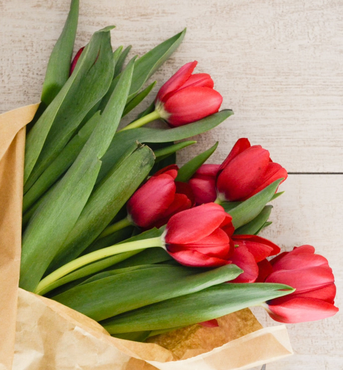 Tulip Bouquet Floral DeVine Hunters Hill Florist Flower Daily Delivery Gladesville Woolwich Lane Cove Putney D