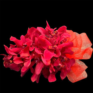 Red Spider Orchid Corsage