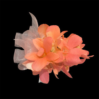 Apricot Corsage 