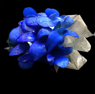 Blue Corsage
