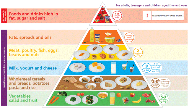 Food Pryamid.gif