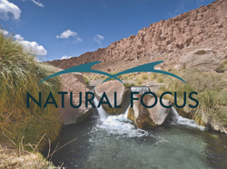 Natural Focus Safari