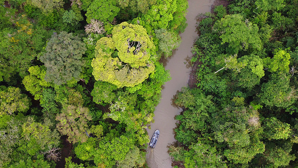 Amazon Skiff Excursion