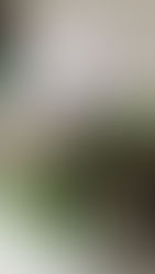 L'importanza della detossinazione da Pure Harmony a Binasco.