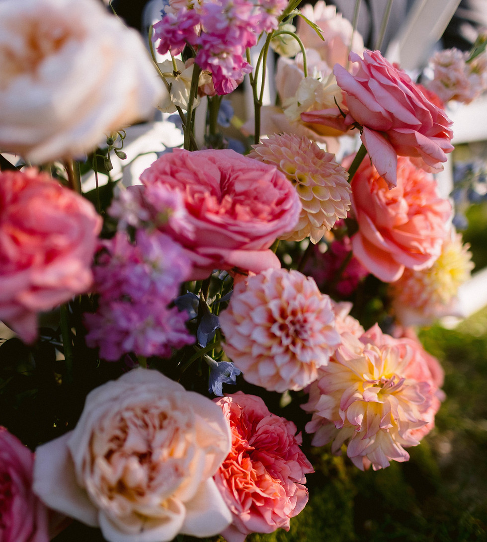 Modern floral arrangement with striking color contrast and movement