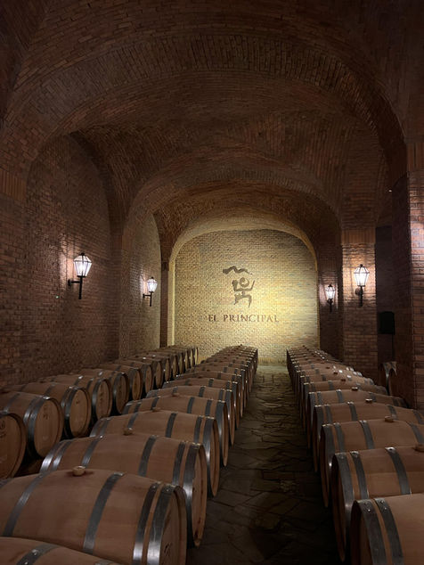 Asado con vino en El Principal, Chile