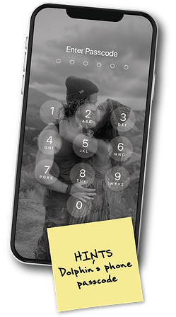 PhoneAccessHints-01_edited_edited_edited