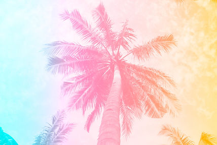 SL-2017-Backgrounds2.jpg