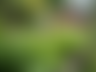 Boosting Nonprofits: Strategic Compliance for Growth