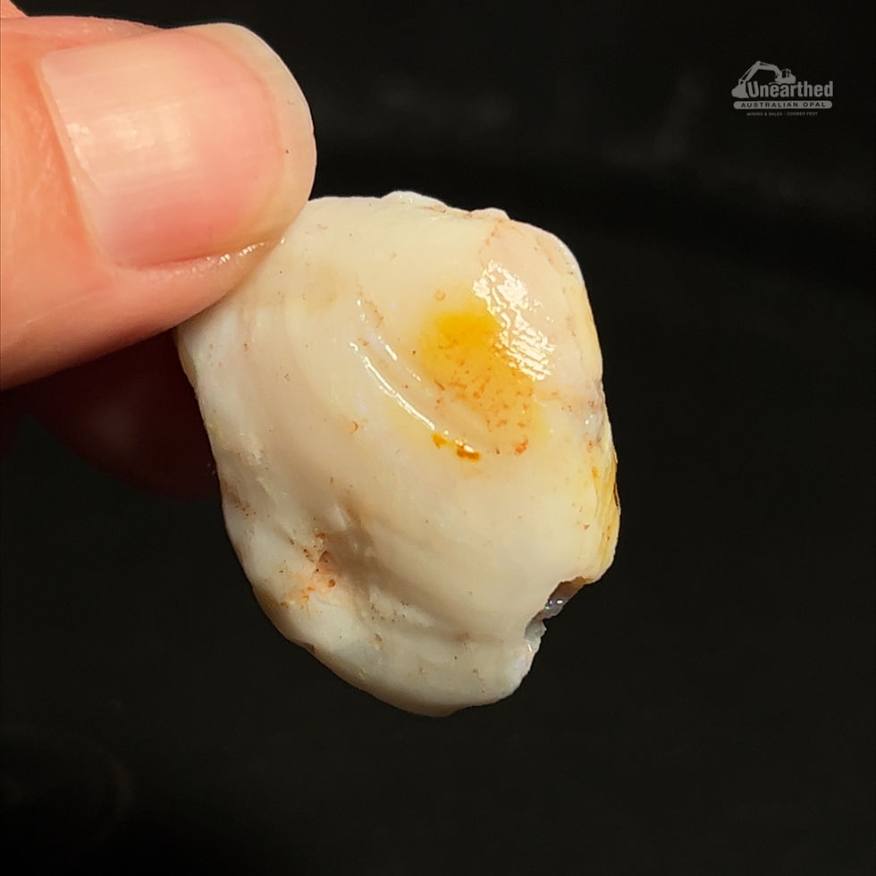 Shop Rare Opal Specimens Online - Varieties Available