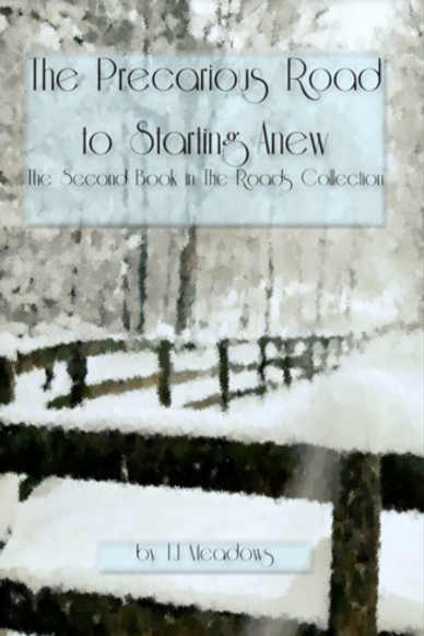 new cover image precarious road.png