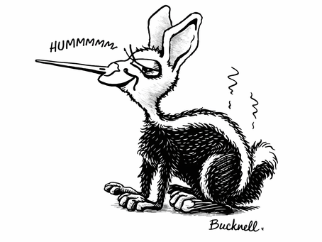 Tales of the Humming Skunk: Part 2