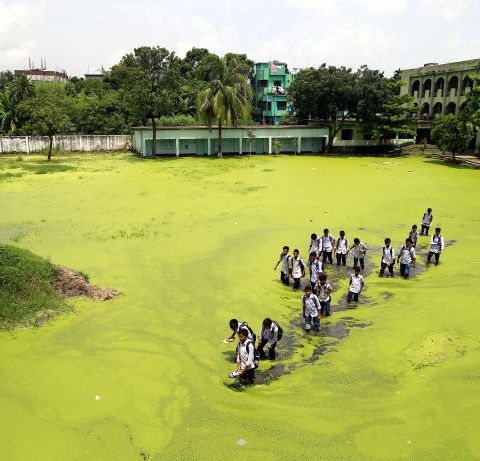 Bangladesh Water Integrity Country Programme