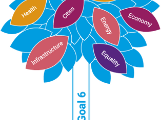 Sustainable Development Goals for Water Require Protection from Corruption