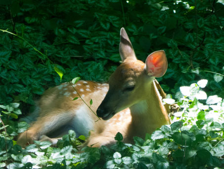 . . . They Relax