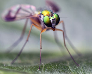 Up Close And Personal CLXIX