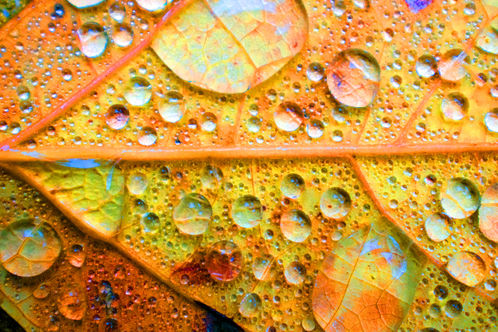Unseen Colors XIX