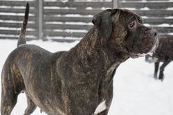 148525488_10208449160661847_7136932373137190393_n